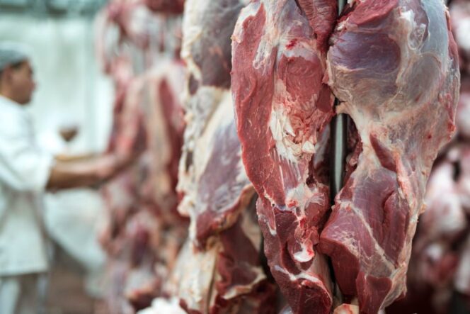 
					Prioritaskan Jasa Sembelihan, Kampanye “Halal Dari Hulu” Mulai Berbuah Manis
