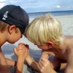 The Most Important Amicus Brief in the History of the World